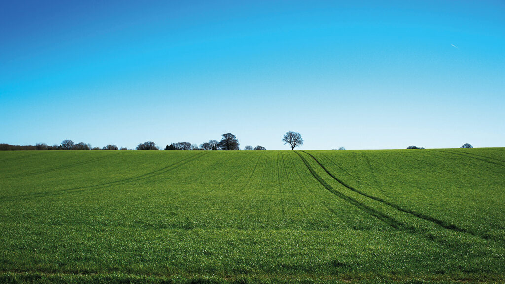 Selling Land for Tax Relief, Muller Property Group