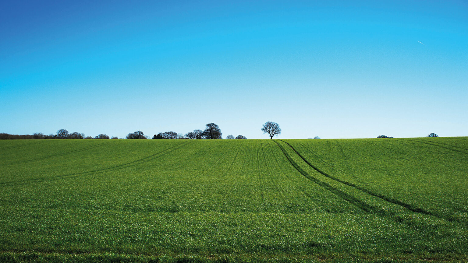 Selling Land for Tax Relief, Muller Property Group