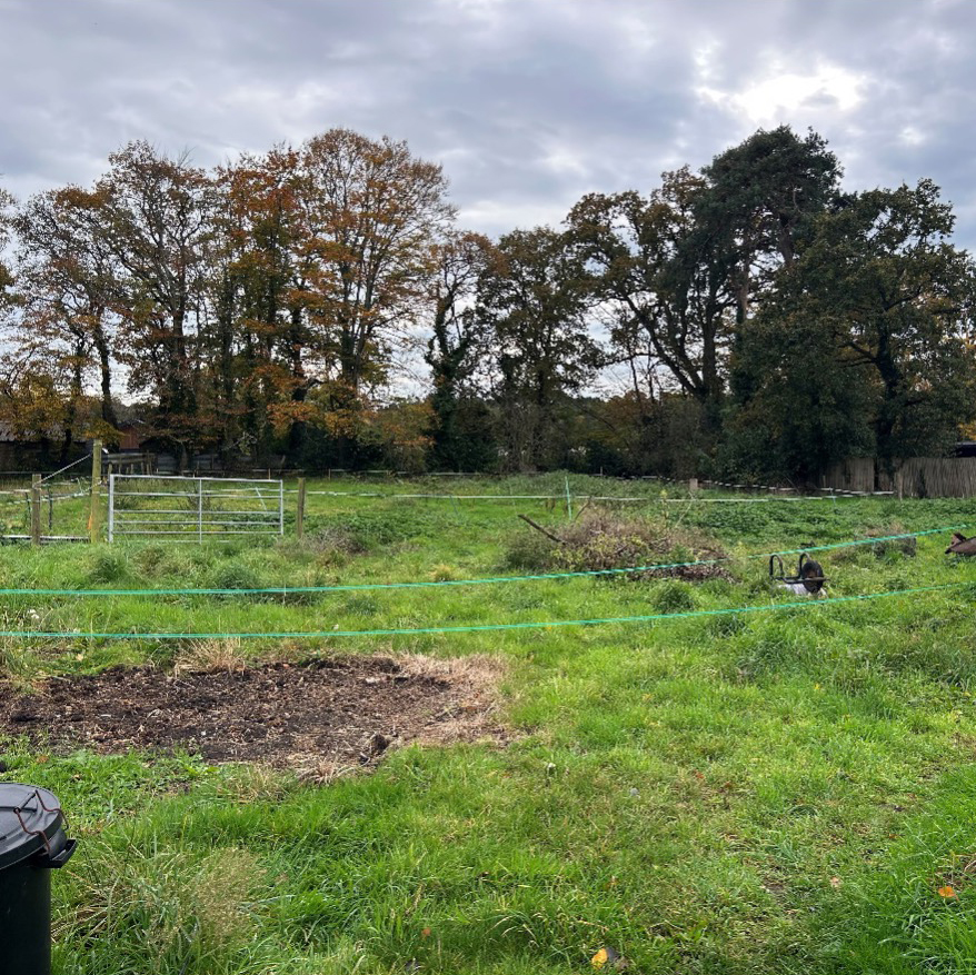 St Leonards_Site Photo 3