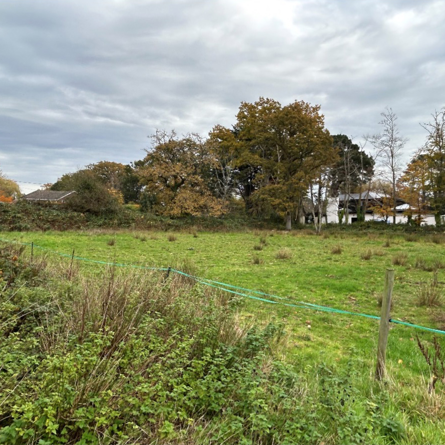 St Leonards_Site Photo 5