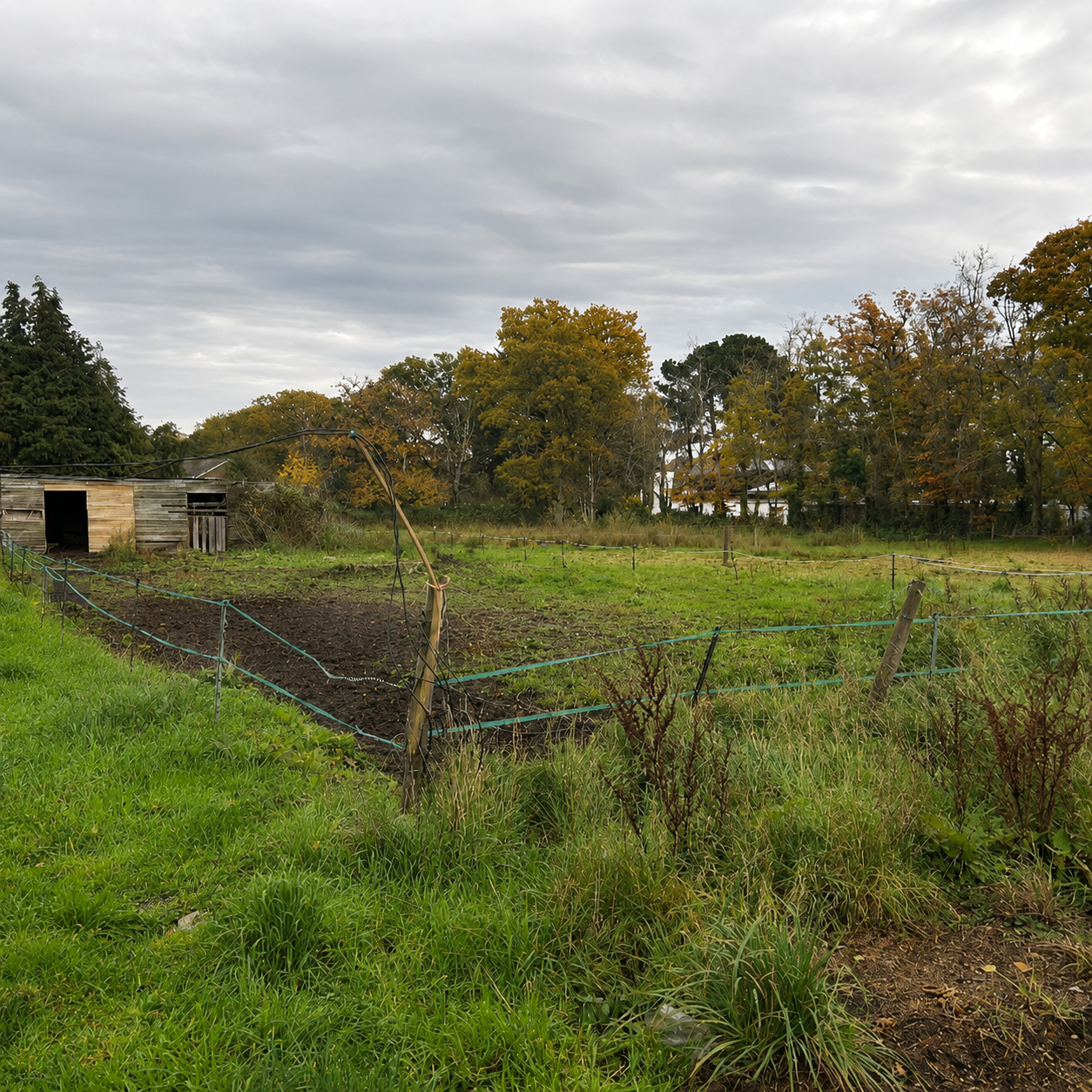St Leonards_Site Photo 2_Edit